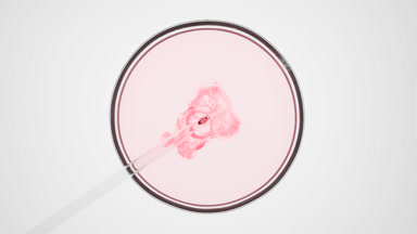 Dropper injects red liquid into light pink one in Petri dish