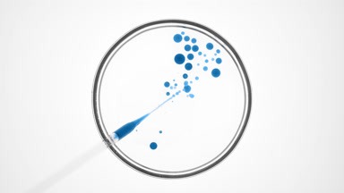 Dropper injects blue tansy oil into clear fluid in Petri dish
