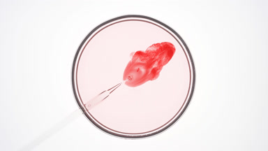 Chemical dropper injects red fluid into pink one in Petri dish