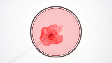 Dropper injects red liquid into pale pink one in Petri dish