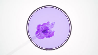 Dropper injects violet liquid into pale one in Petri dish