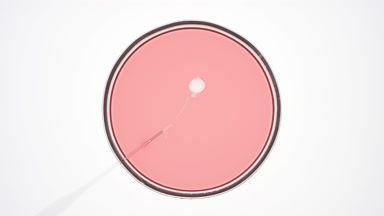 Dropper injects transparent oil into pink liquid in Petri dish