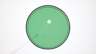Dropper injects transparent oil into green liquid in Petri dish