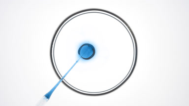 Dropper injects blue tansy oil into clear liquid in Petri dish
