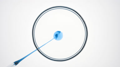 Dropper injects cyan oil into transparent liquid in Petri dish