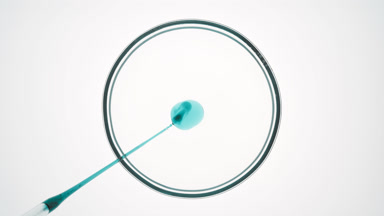 Dropper injects green oil into transparent liquid in Petri dish