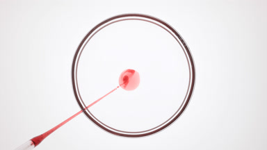 Dropper injects red oil into transparent liquid in Petri dish