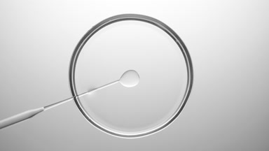 Lab dropper injects oil into transparent fluid in Petri dish