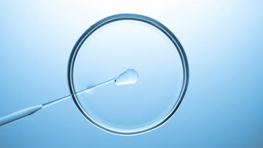 Lab dropper injects oil into transparent fluid in Petri dish