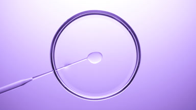 Lab dropper injects oil into transparent fluid in Petri dish