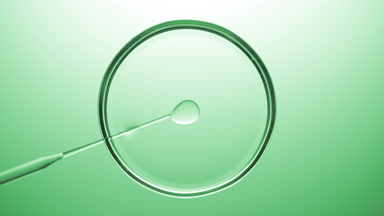 Lab dropper injects oil into transparent fluid in Petri dish