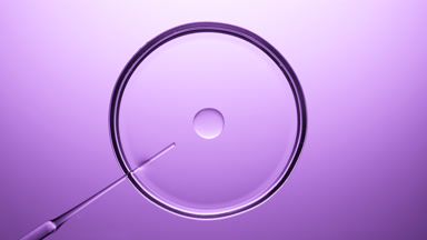 Pipette injects oil into transparent liquid in Petri dish