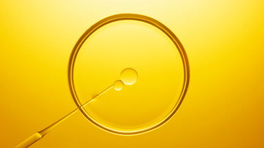 Pipette injects oil into transparent liquid in Petri dish
