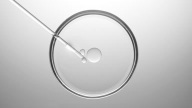 Chemical dropper injecting transparent oil bubbles in Petri dish