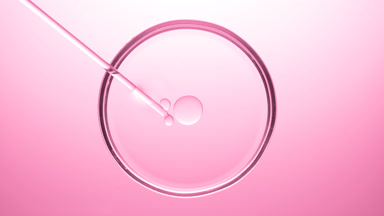 Chemical dropper injecting transparent oil bubbles in Petri dish