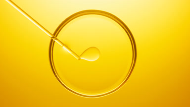 Chemical dropper injecting transparent oil bubbles in Petri dish