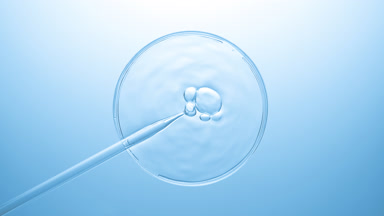 Bubbles coming out from dropper on fluid in Petri dish bursting