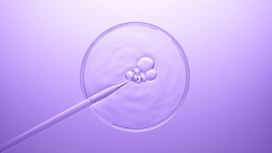Bubbles coming out from dropper on fluid in Petri dish bursting