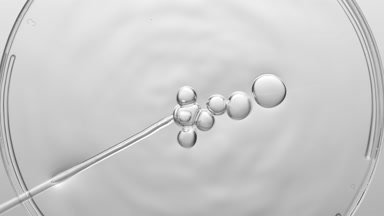 Bubbles come out from dropper and float on fluid in Petri dish