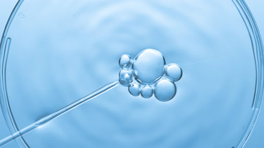 Bubbles come out from dropper and float on fluid in Petri dish