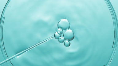 Bubbles come out from dropper and float on fluid in Petri dish