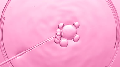 Bubbles come out from dropper and float on fluid in Petri dish