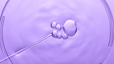 Bubbles come out from dropper and float on fluid in Petri dish