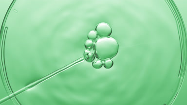 Bubbles come out from dropper and float on fluid in Petri dish