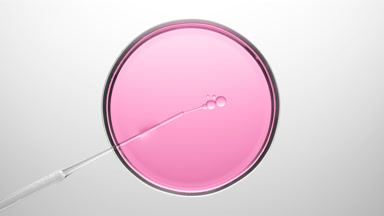 Chemical dropper injects oil into pink liquid in Petri dish