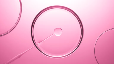 Dropper injects oil into fluid in one of three Petri dishes