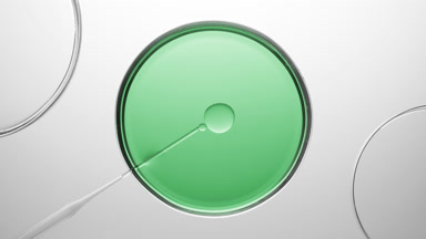 Dropper injects oil into green in one of three Petri dishes