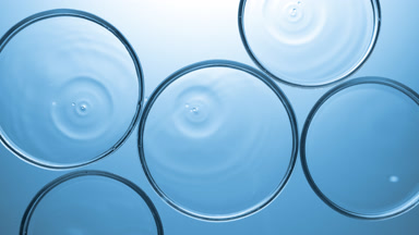 Clear drops falling in multiple Petri dishes with clear liquid
