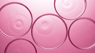 Clear drops falling in multiple Petri dishes with clear liquid