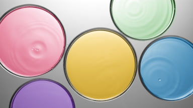 Drops falling in multiple Petri dishes with colorful liquids