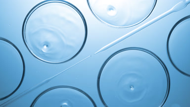 Drops falling into liquid in Petri dishes lying around droppers
