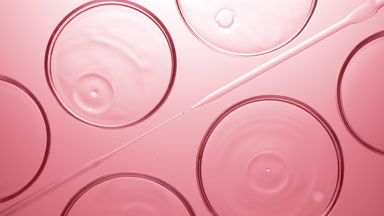 Drops falling into liquid in Petri dishes lying around droppers