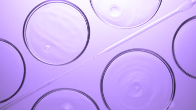 Drops falling into liquid in Petri dishes lying around droppers