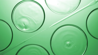 Drops falling into liquid in Petri dishes lying around droppers