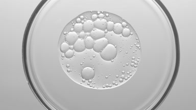 Gel with different sized bubbles spread out in Petri dish