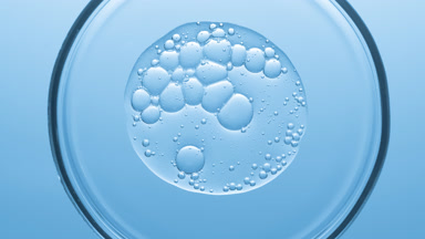 Gel with different sized bubbles spread out in Petri dish
