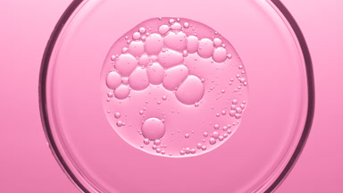Gel with different sized bubbles spread out in Petri dish