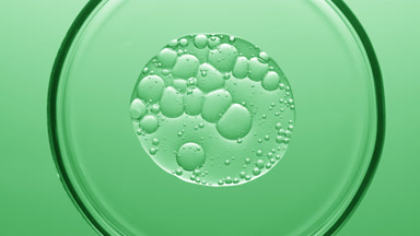 Gel with different sized bubbles spread out in Petri dish
