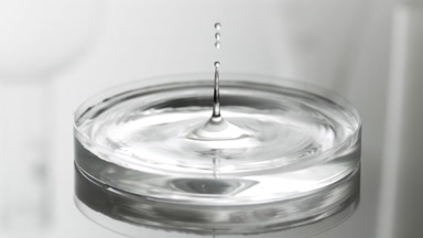 Water drop falls into Petri dish with liquid creating ripples