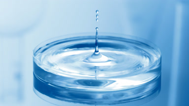 Water drop falls into Petri dish with liquid creating ripples