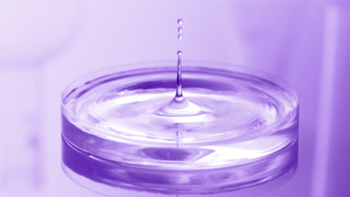 Water drop falls into Petri dish with liquid creating ripples
