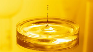 Water drop falls into Petri dish with liquid creating ripples