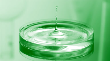 Water drop falls into Petri dish with liquid creating ripples