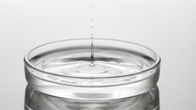 Drop of water falls into Petri dish with fluid creating ripples