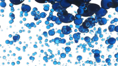 Blue tansy oil is poured into water creating blue bubbles