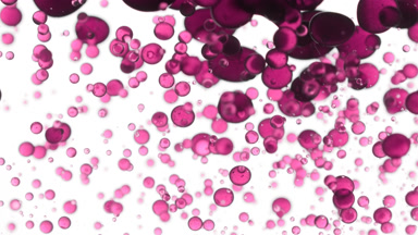 Rose oil is poured into water creating pink bubbles